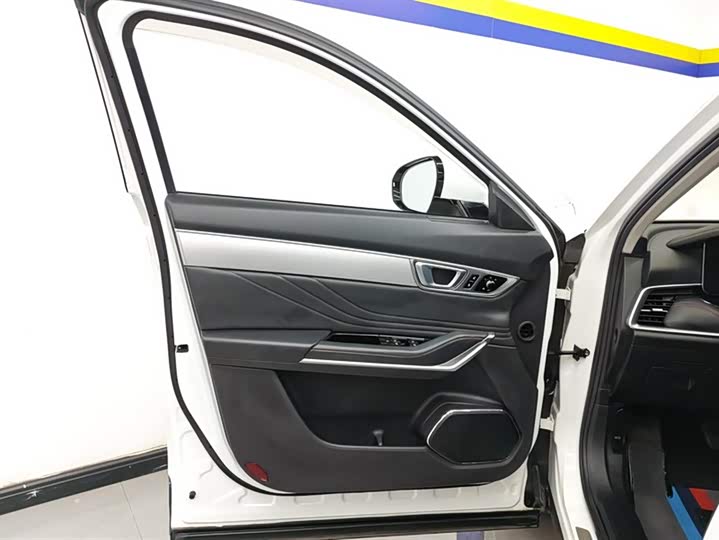 Bestune T99 2020 2020款 20TD 自动尊贵型