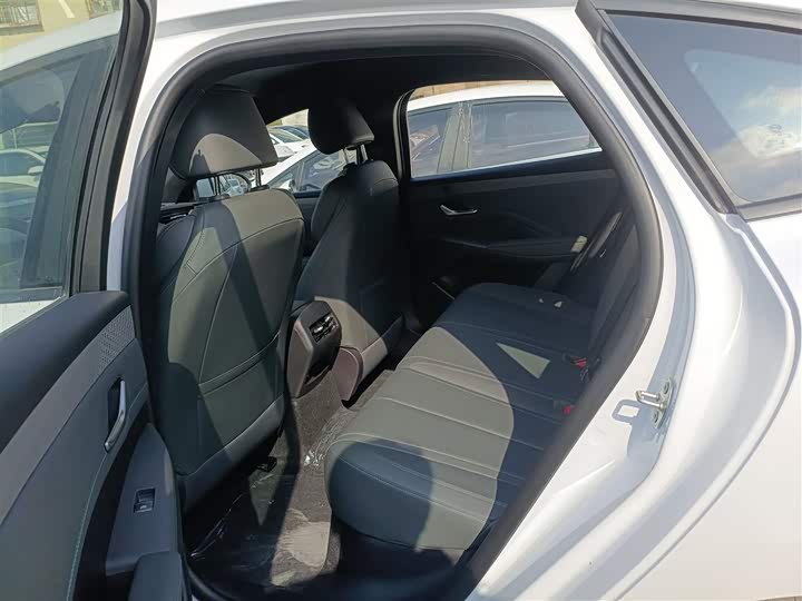 BYD Qin Plus 2025 2025款 DM-i 智驾版 55KM领先型