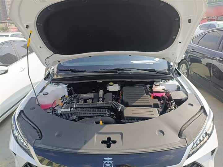 BYD Qin Plus 2025 2025款 DM-i 智驾版 55KM领先型