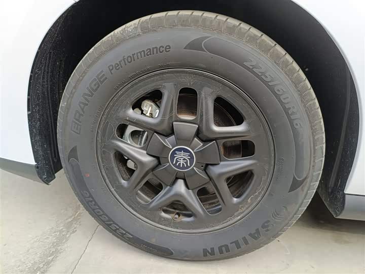 BYD Qin Plus 2025 2025款 DM-i 智驾版 55KM领先型