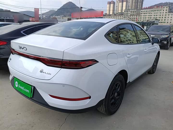 BYD Qin Plus 2025 2025款 DM-i 智驾版 55KM领先型