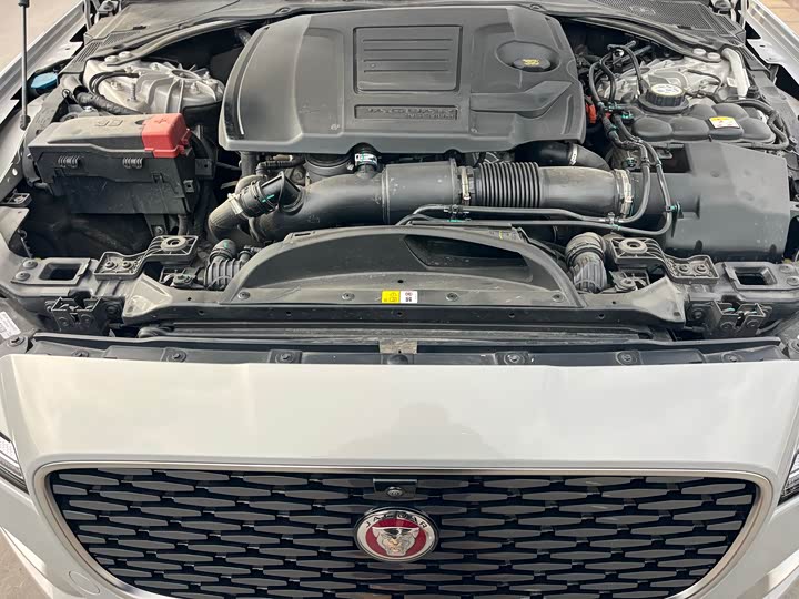 Jaguar XF L 2024 2024款 2.0T P250 两驱尊享豪华版