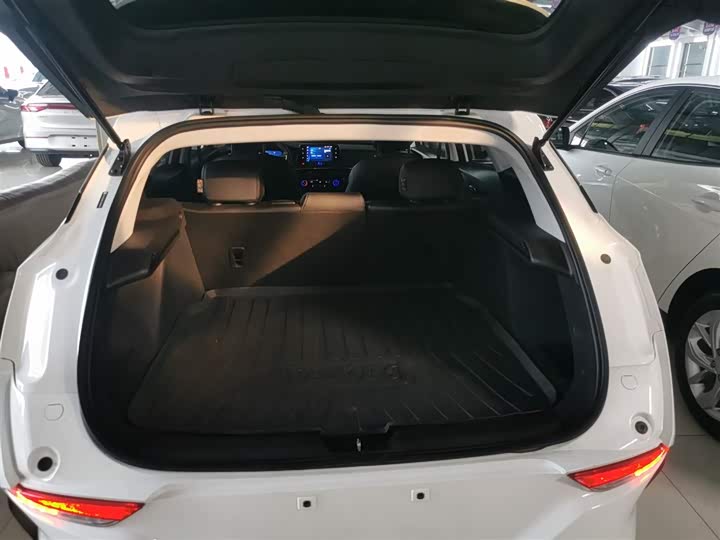 Buick Velite 6 2024 2024款 450km 出行版