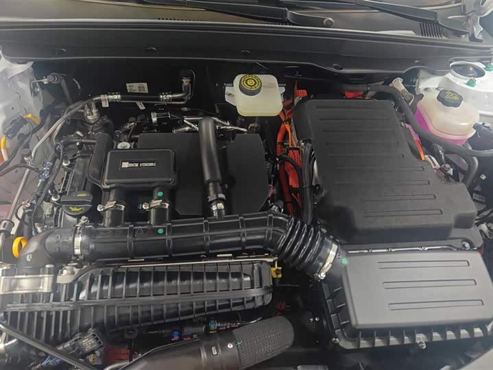 BYD Qin Plus 2025 2025款 DM-i 智驾版 55KM领先型