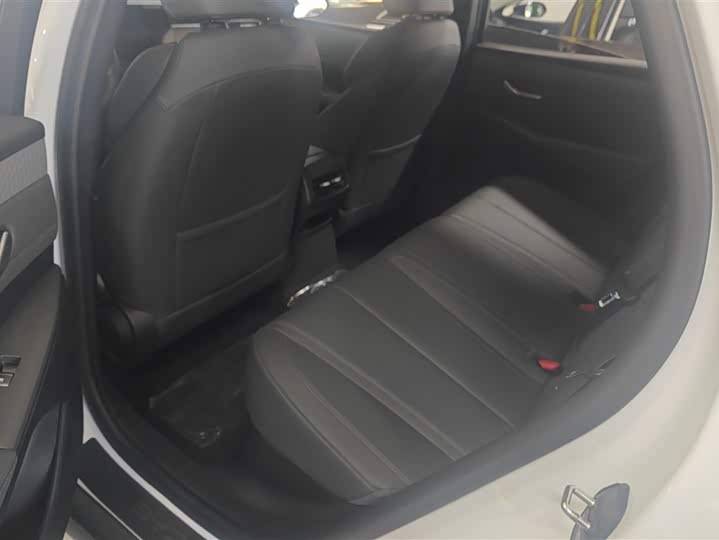 BYD Qin Plus 2025 2025款 DM-i 智驾版 55KM领先型