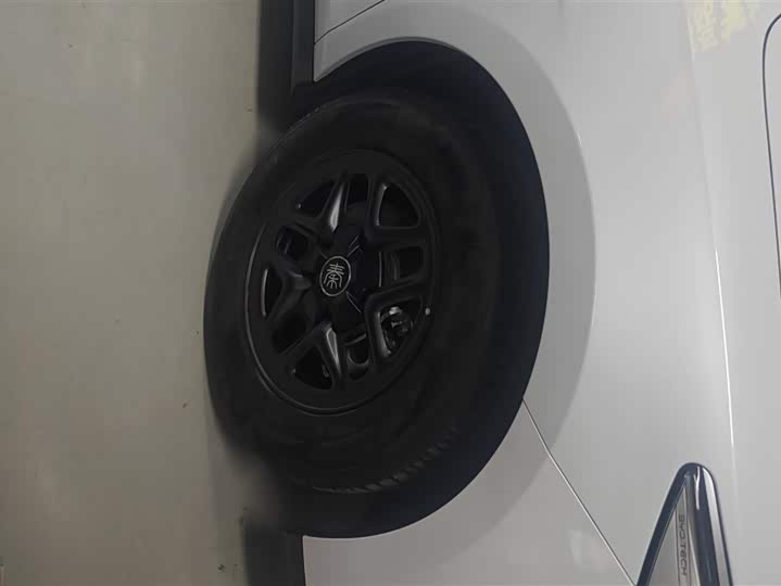 BYD Qin Plus 2025 2025款 DM-i 智驾版 55KM领先型