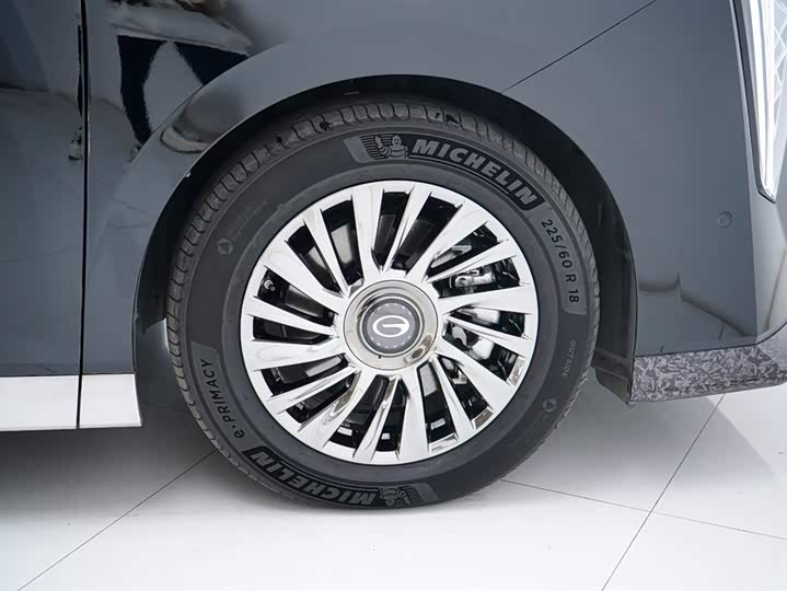 GAC Trumpchi E9 2024 2024款 E9 宗师版