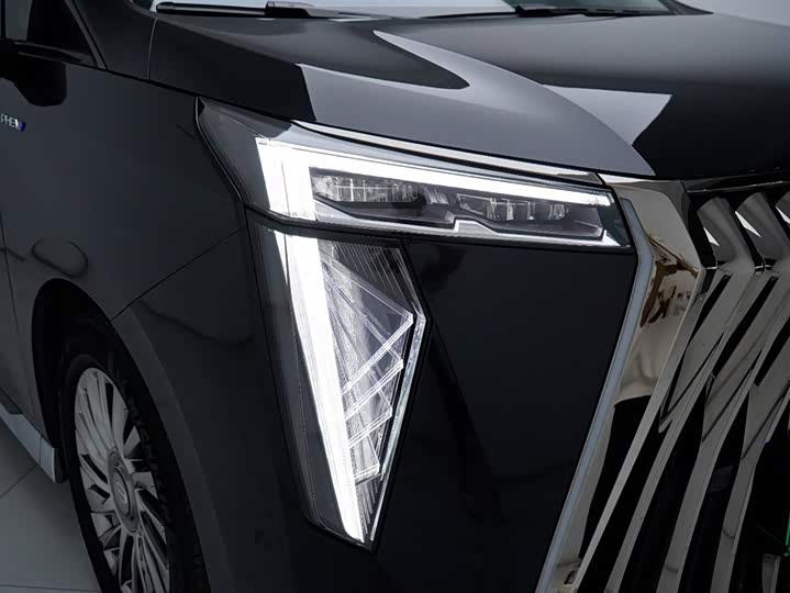 GAC Trumpchi E9 2024 2024款 E9 宗师版