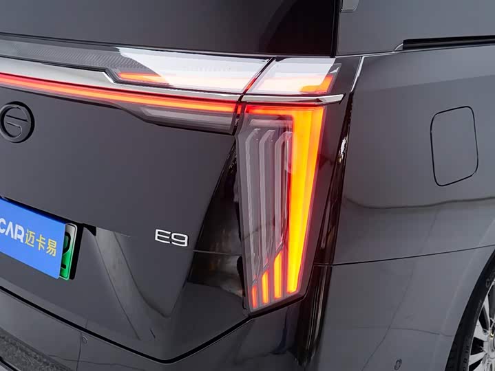 GAC Trumpchi E9 2024 2024款 E9 宗师版