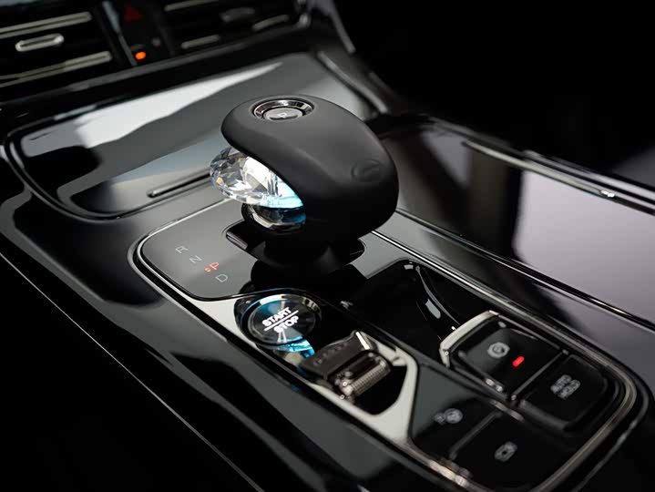 GAC Trumpchi E9 2024 2024款 E9 宗师版