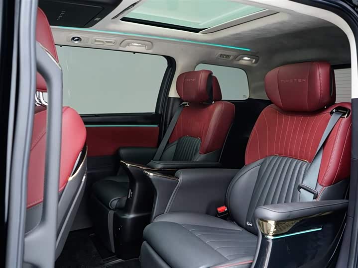 GAC Trumpchi E9 2024 2024款 E9 宗师版