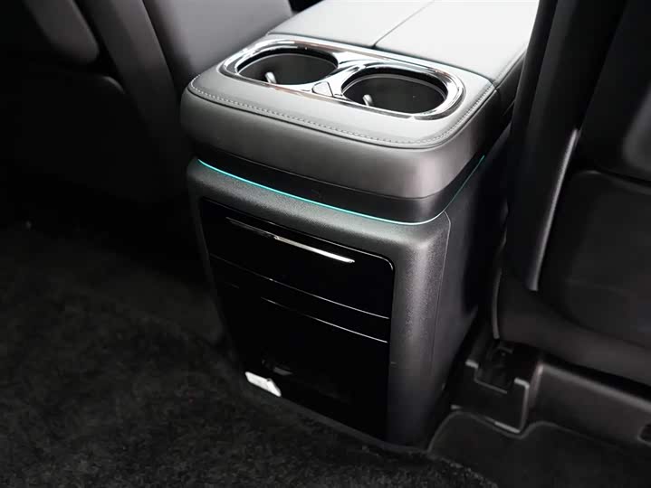 GAC Trumpchi E9 2024 2024款 E9 宗师版