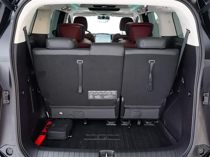 GAC Trumpchi E9 2024 2024款 E9 宗师版