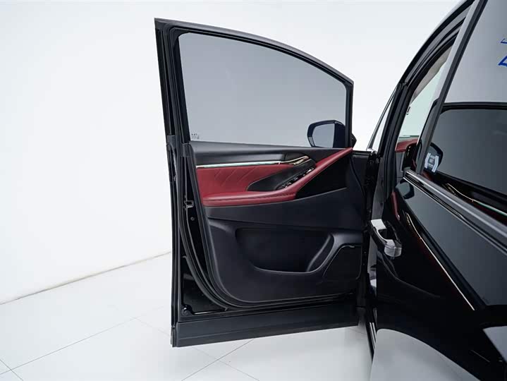 GAC Trumpchi E9 2024 2024款 E9 宗师版