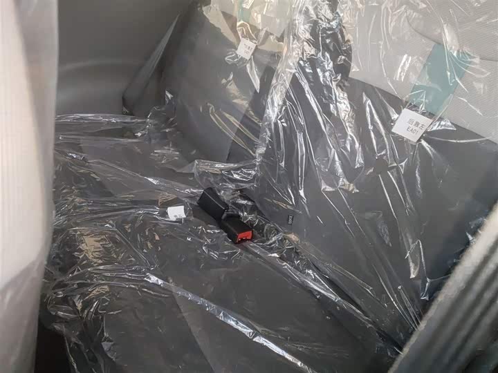 Changan Qiyuan (Nevo) Lumin 2025 2025款 205km 香沁款