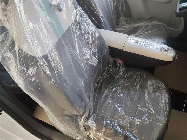 Changan Qiyuan (Nevo) Lumin 2025 2025款 205km 香沁款