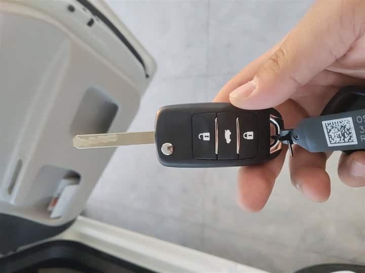 Changan Qiyuan (Nevo) Lumin 2025 2025款 205km 香沁款