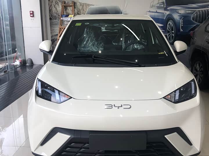 BYD Seagull 2025 2025款 305km 自由版