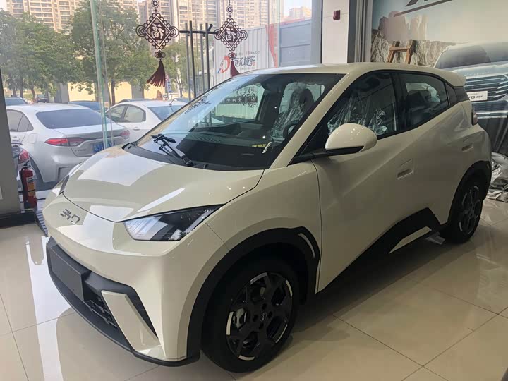 BYD Seagull 2025 2025款 305km 自由版