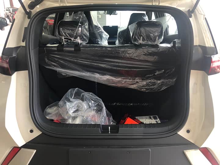 BYD Seagull 2025 2025款 305km 自由版