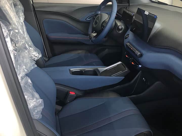 BYD Seagull 2025 2025款 305km 自由版