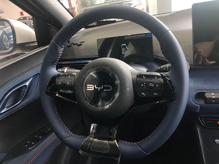 BYD Seagull 2025 2025款 305km 自由版