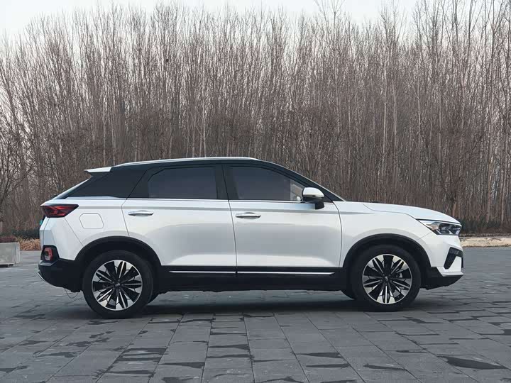 Bestune T77 2021 2021款 PRO 280 TID 定制版