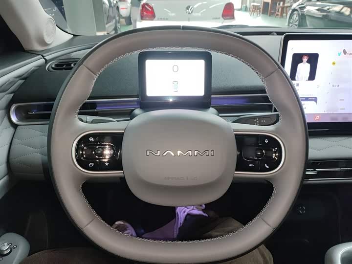 Dongfeng Nammi 01 2024 2024款 共创版 共创WE版