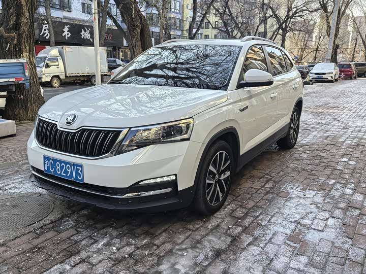 Skoda Kamiq 2022 2022款 1.5L 自动舒享版