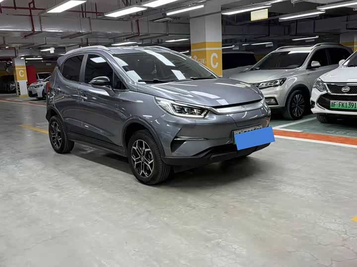 BYD Yuan Pro 2023 2023款 401KM豪华型