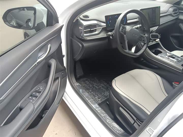 BYD Destroyer 05 2024 2024款 荣耀版 DM-i 55KM 豪华型