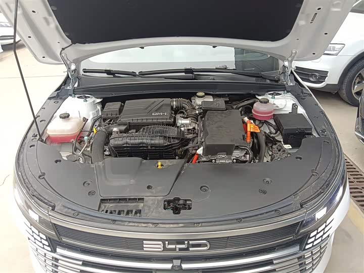 BYD Destroyer 05 2024 2024款 荣耀版 DM-i 55KM 豪华型