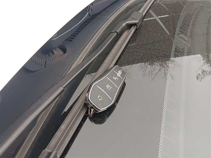 BYD Destroyer 05 2024 2024款 荣耀版 DM-i 55KM 豪华型