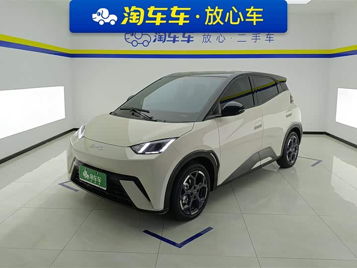 BYD Seagull 2025 2025款 305km 自由版