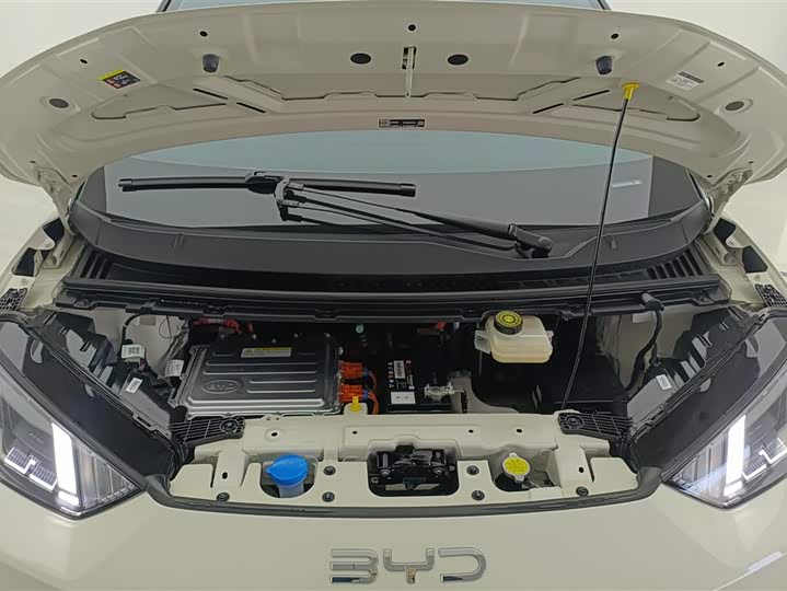 BYD Seagull 2025 2025款 305km 自由版