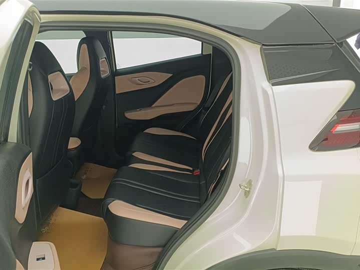 BYD Seagull 2025 2025款 305km 自由版