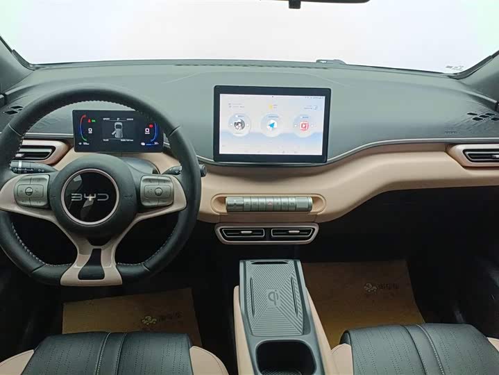 BYD Seagull 2025 2025款 305km 自由版