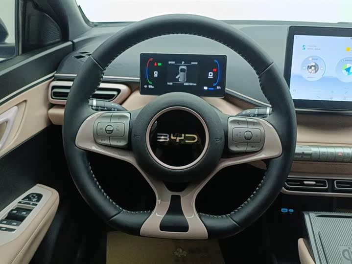 BYD Seagull 2025 2025款 305km 自由版