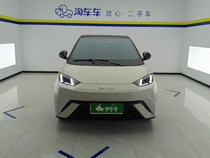 BYD Seagull 2025 2025款 305km 自由版