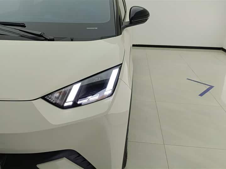 BYD Seagull 2025 2025款 305km 自由版