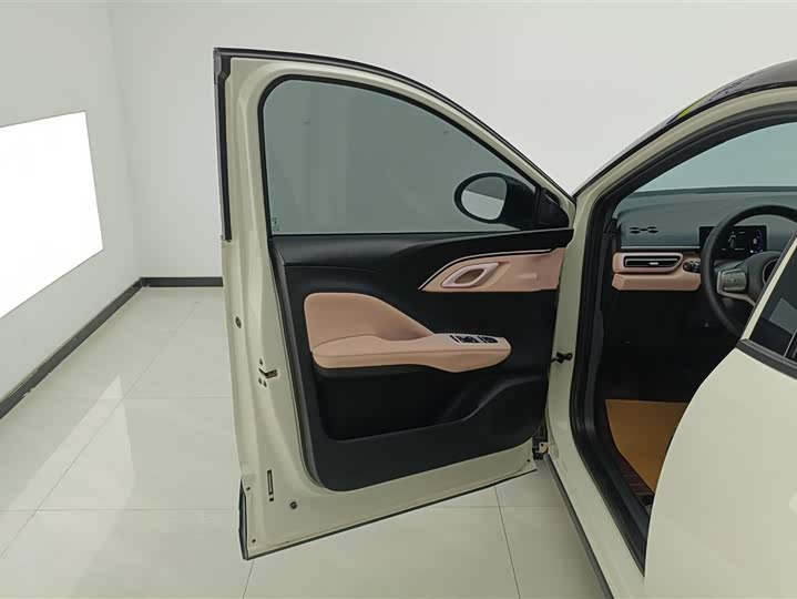 BYD Seagull 2025 2025款 305km 自由版