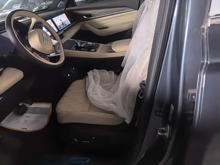 Geely Monjaro 2025 2025款 2.0TD 自动行云版