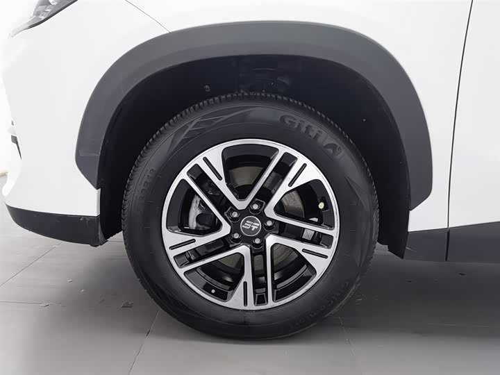 Jetour Shanhai L6 2024 2024款 1.5TD DHT MAX