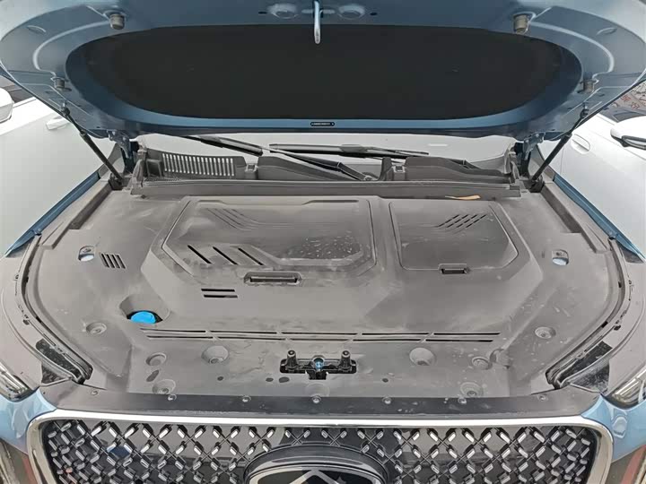 Chery Tiggo 8 Plus C-DM 2025 2025款 1.5T 116km 尊贵型 5座