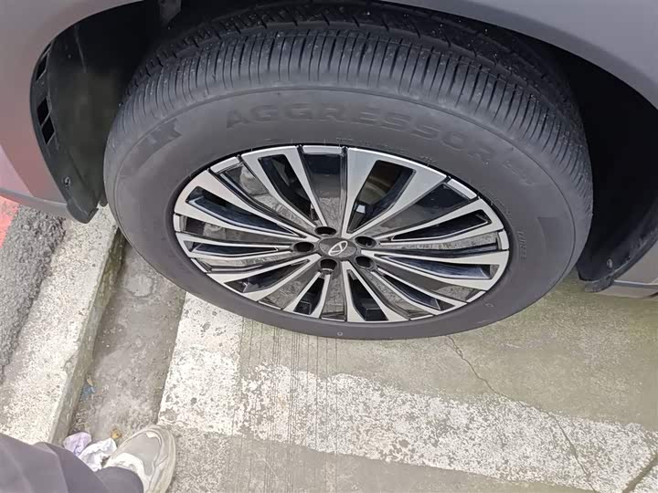 Chery Tiggo 8 Plus C-DM 2025 2025款 1.5T 116km 尊贵型 5座