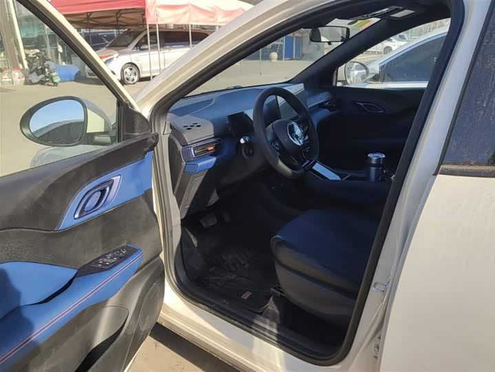 BYD Seagull 2025 2025款 智驾版 305km 活力版