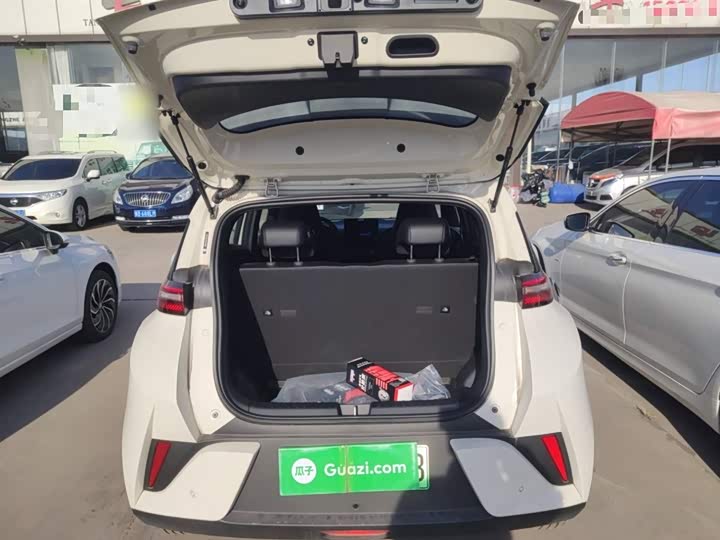 BYD Seagull 2025 2025款 智驾版 305km 活力版