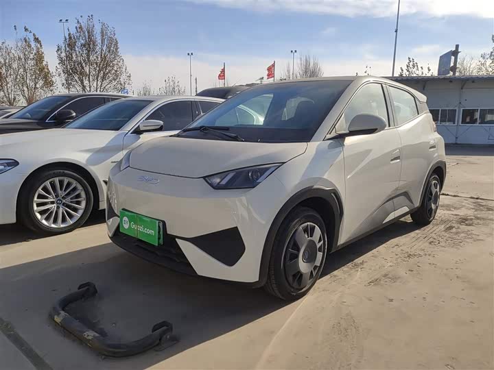 BYD Seagull 2025 2025款 智驾版 305km 活力版