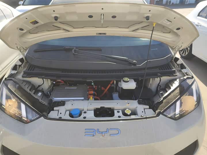 BYD Seagull 2025 2025款 智驾版 305km 活力版