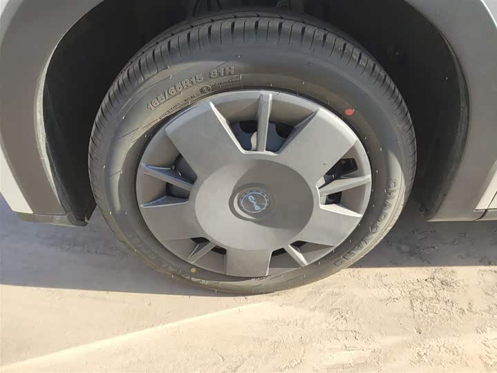 BYD Seagull 2025 2025款 智驾版 305km 活力版